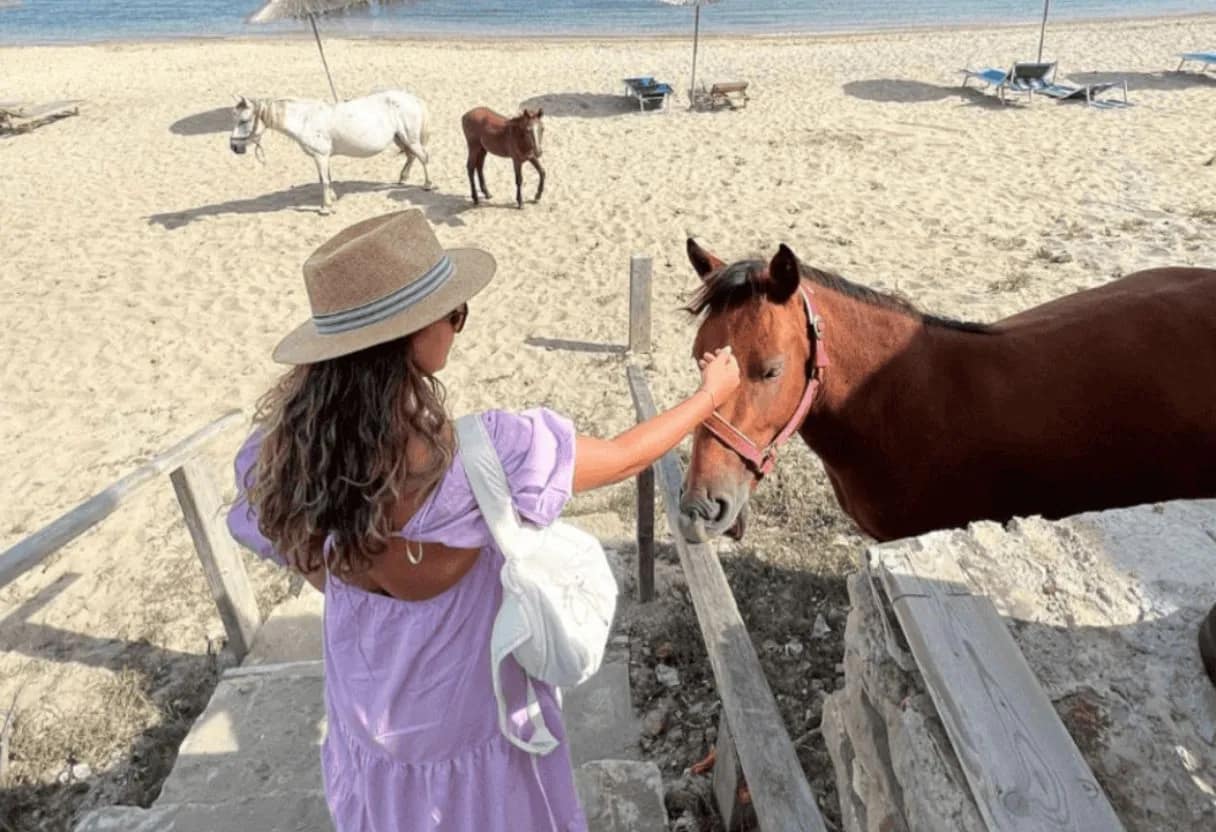 Wild horses roaming a white sand beach on the Adriatic coast of Albania near Cape Rodonit — a hidden gem on InAlb family tours