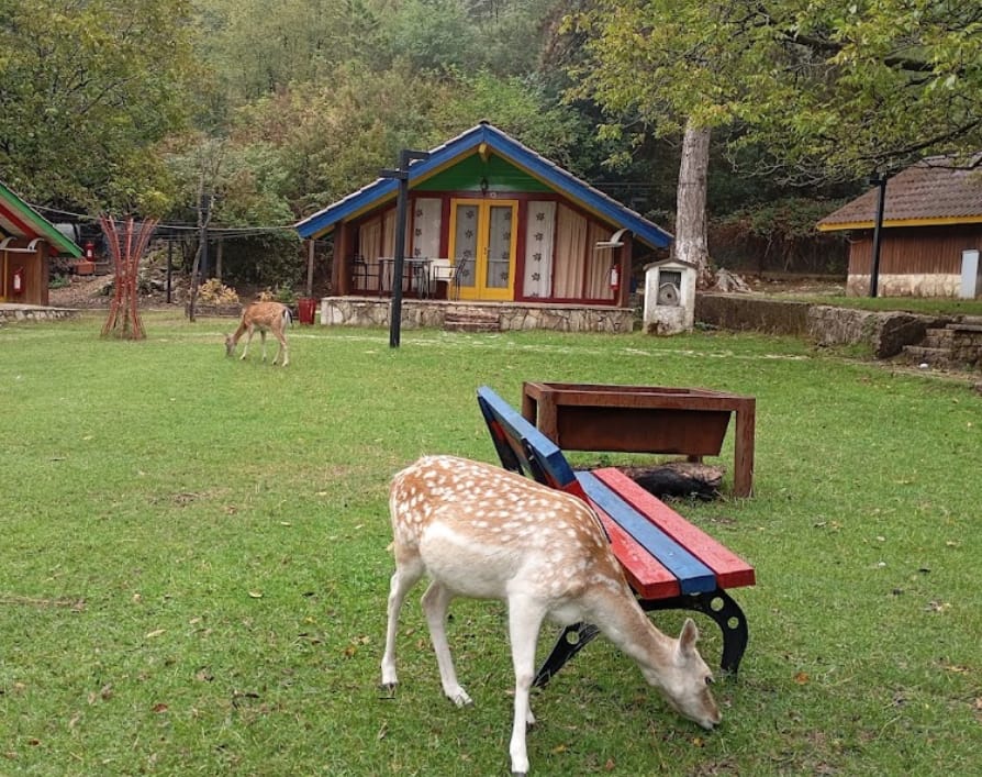 News & Updates 9-Albania llogaraaaa-Albania